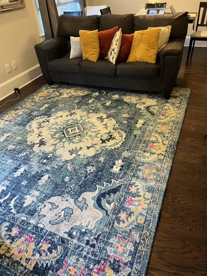Area Rug Cleaning