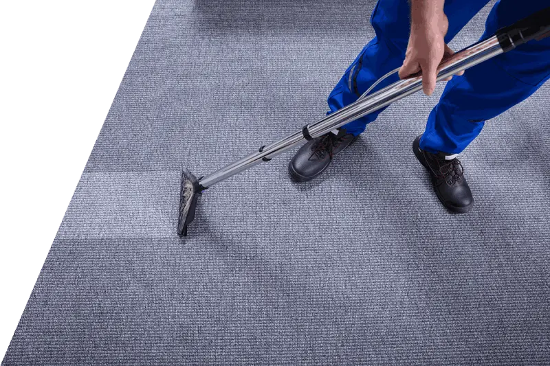 Carpet Cleaning in Raleigh, NC