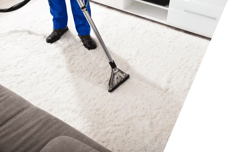 Carpet Cleaner Raleigh NC