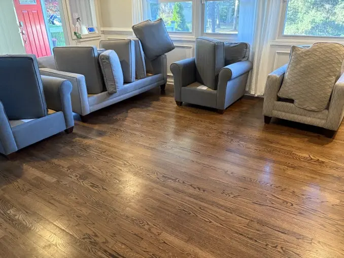 Couch and Chair Cleaning