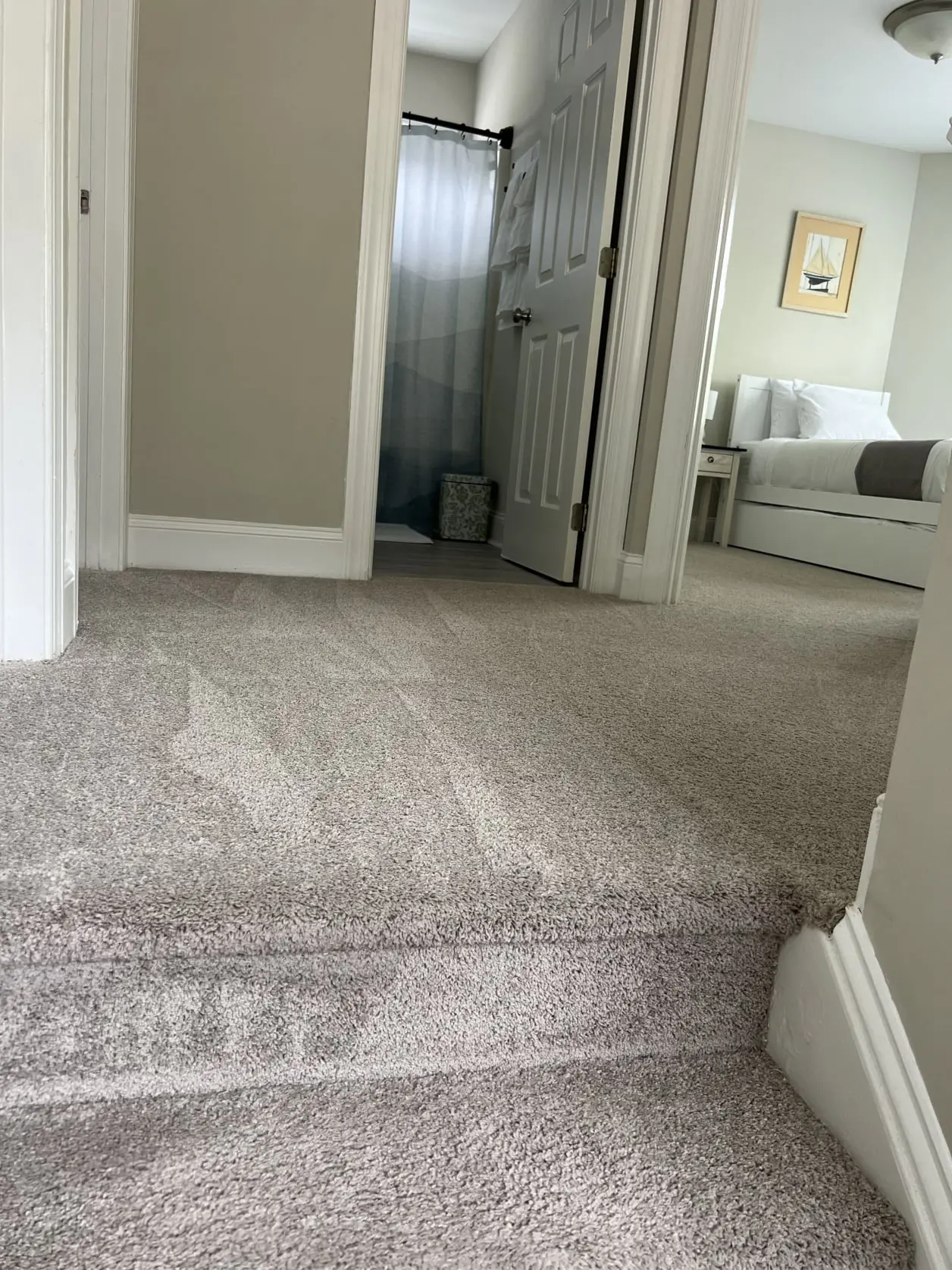 Rug Cleaner Raleigh NC