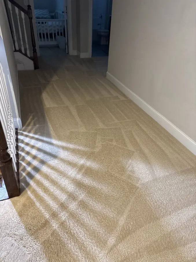 Hallway Cleaning