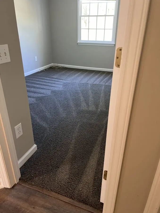Carpet Cleaner in Raleigh, NC