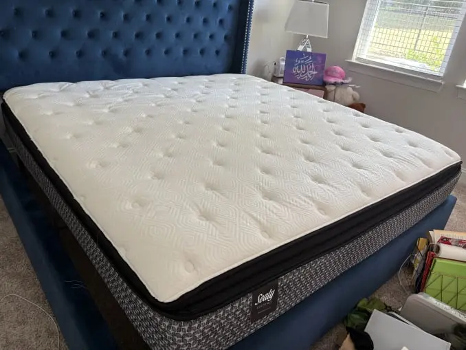 Mattress Cleaning