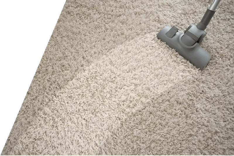 Carpet Cleaning in Raleigh, NC