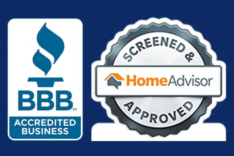 Professional Carpet Cleaning Raleigh NC